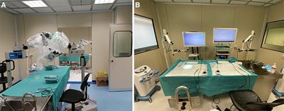 Key role of microsurgical dissections on cadaveric specimens in neurosurgical training: Setting up a new research anatomical laboratory and defining neuroanatomical milestones